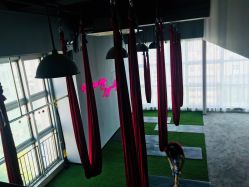 -桃秘钢管舞Peach Pole Fitness