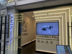 -蚂蚁造型俱乐部