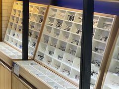 -诺柯视眼镜-蔡司依视路官方工厂店(淞南一店)