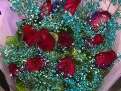 -金田水族花卉市场(银庄大厦店)