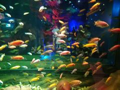 -芭菲盛宴·环球美食(袁家岗店)