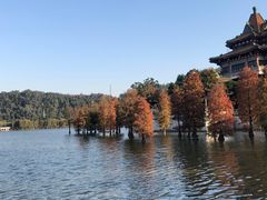 -顺峰山公园
