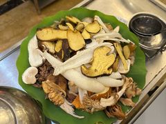 -野菌园·野生菌火锅首创第一家(关兴路总店)