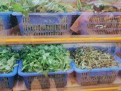 -老味道1992(武当山店)