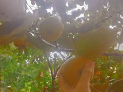 -爱蹦iBOON蹦床运动馆(江汉店)