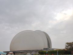 -野狸岛