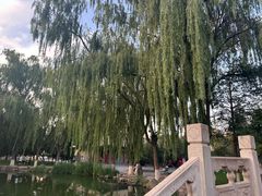 -高庙保安寺