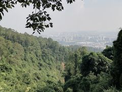 -火炉山森林公园