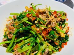 香菜炒牛肉-壹盏灯(蚂蚁工房店)