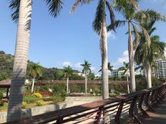 -金鸡岭桥头公园