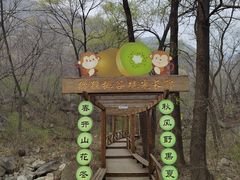 -大岭沟猕猴桃谷风景区