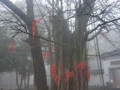 -西湖风景区十里琅珰-五云山