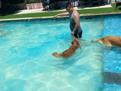 -汪说喵讲宠物乐园宠物酒店(红星美凯龙店)