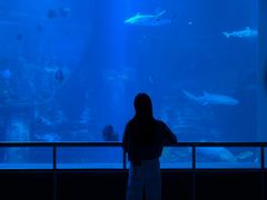 -太平洋海底世界