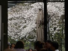 -玛格萝妮比萨屋(四平店)