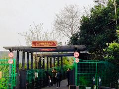 -树山生态村