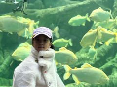 -哈尔滨波塞冬海底世界