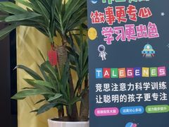 -竞思注意力·专注力·学习能力训练(天一广场中心)