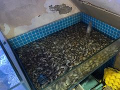 -面道赞宁海海鲜面(迎凤街店)