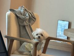 -上海佘山世茂艾美酒店
