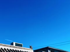 -VOYAGE COFFEE(北锣鼓巷店)