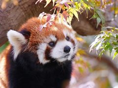 -M Stand (TX淮海路店)