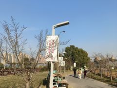 -菊园百果园