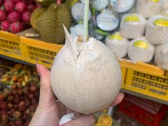 -三亚新鸿港水果一级批发市场