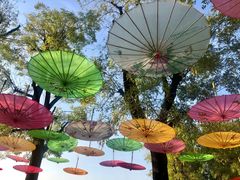 -西安汉城湖景区