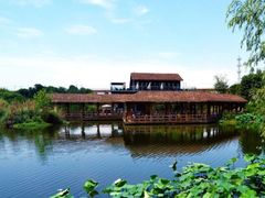 -白鹭湾湿地公园