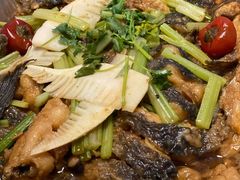 -老板恋上鱼(恒隆广场店)