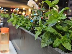 -启东小海鲜(庄先湾路1号店)