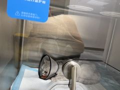 -东莞宠友24H宠物中心医院·转诊夜诊·异宠(新河北路院)