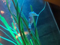 -沈阳海洋探索中心