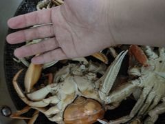 -苏格里岛自助海鲜烤肉火锅(集美万达店)