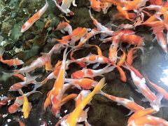 -福州罗源湾海洋世界旅游区