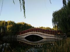 -五女峰国家森林公园