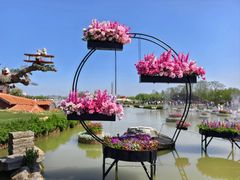 -荷兰花海