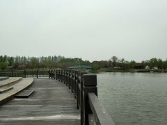 -上海长兴岛郊野公园