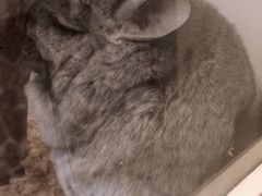 -龙猫仔乐园(惠福东路店)