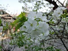 -湖广会馆-东水门及古城墙