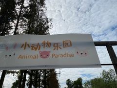 -前小桔亲子创意农场·草莓采摘·露营烧烤