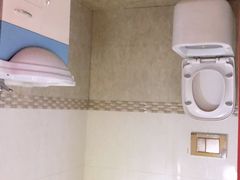 -金山农民画村-枫泾波兰倒置屋