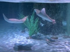 -沈阳海洋探索中心