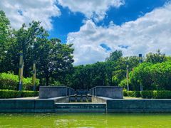 -上海吴淞炮台湾国家湿地公园