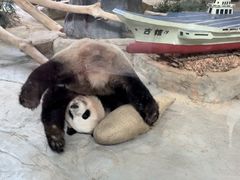 -灵玲国际马戏城