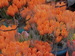 -循礼门鲜花花市(武汉循礼门店)