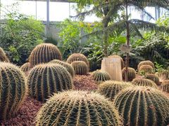 -呀路古热带植物园