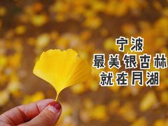 -月湖公园