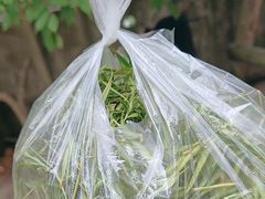 -高老庄·老溧阳·私房菜(南山竹海店)